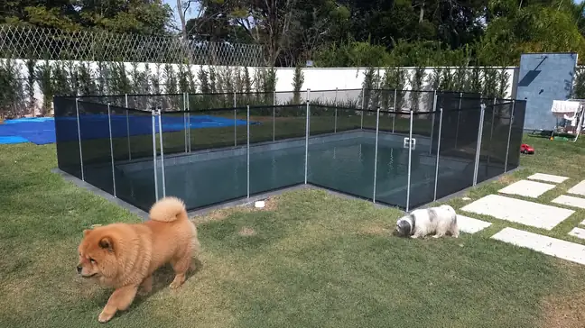 Piscina com área externa protegida para famílias com pets